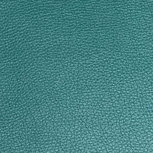 Cas 546 x 733